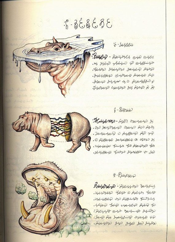 Codex Seraphinianus   animals