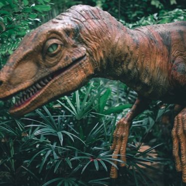 Calling Jurassic Docs — New Details on Dinosaur Head Colds and Vomiting