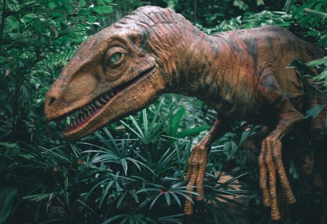 Calling Jurassic Docs — New Details on Dinosaur Head Colds and Vomiting