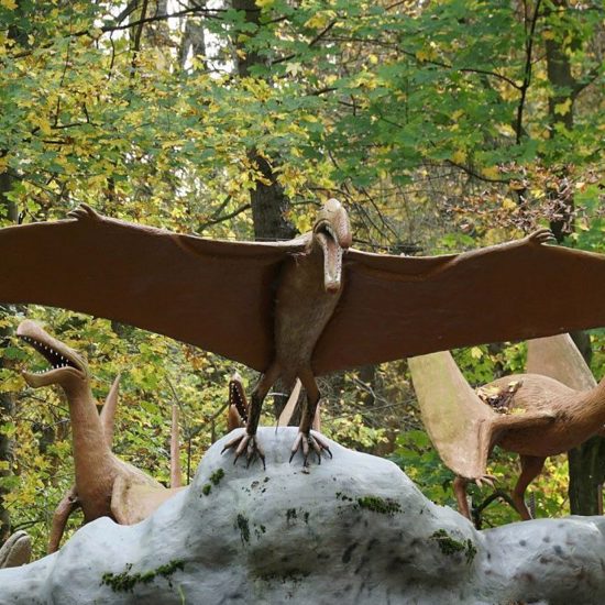 World’s Largest Jurassic Era Pterosaur Discovered in Scotland