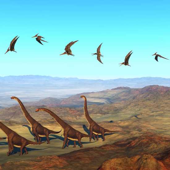 Lost World of Unique Prehistoric Birds Found Near the Great Wall of China
