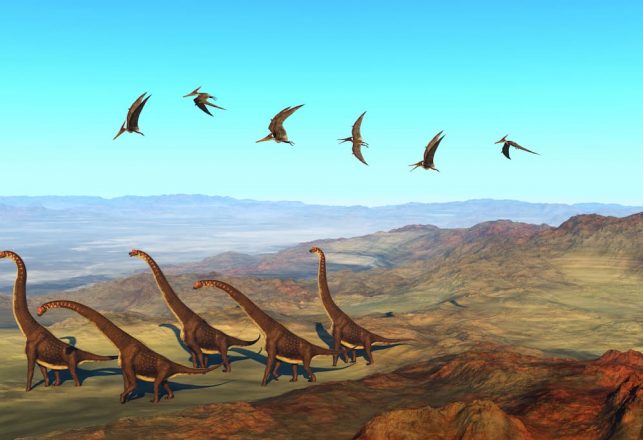 Lost World of Unique Prehistoric Birds Found Near the Great Wall of China