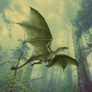 Fierce, Flying Monsters: My Top 3 Creepy Creatures of the Skies