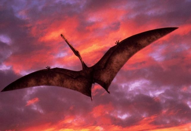 The Strange Story of the Tombstone Pterodactyl