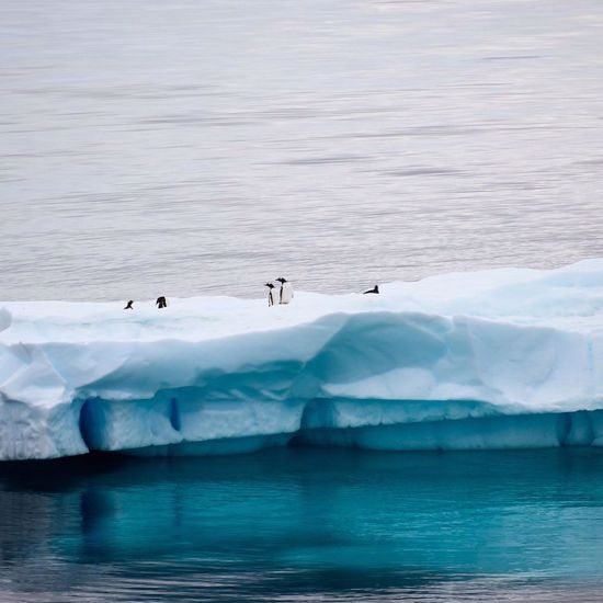 Expert Claims Buried Space Ark is Causing Antarctica Heat Wave