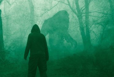 A Strange Paper on Paranormal Vanishing Bigfoot