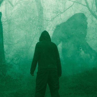 A Strange Paper on Paranormal Vanishing Bigfoot