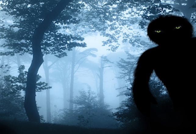 A Strange Paper on Paranormal Vanishing Bigfoot - Vimarsana News