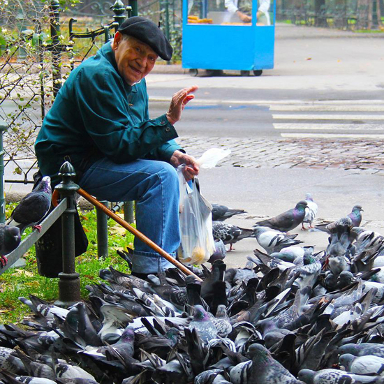 Pigeon Metaverse, AI Sense of Humor, Magic Mushroom Therapy and More Mysterious News Briefly