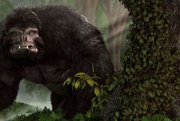 New Encounter with the Andean Bigfoot -- The Ucumar