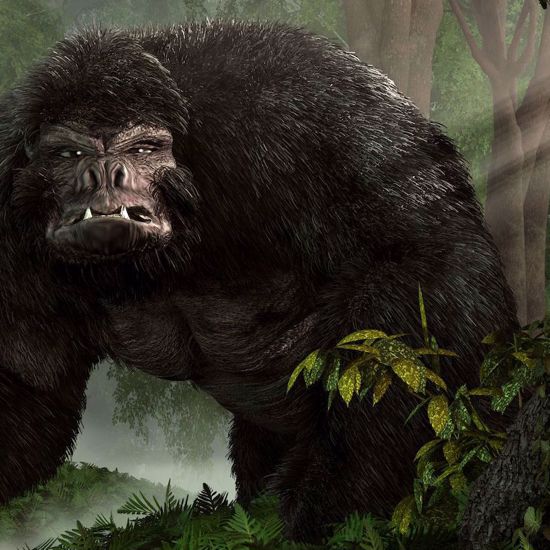 New Encounter with the Andean Bigfoot -- The Ucumar