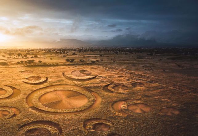 Crop Circles: Government Agencies and Secret Files