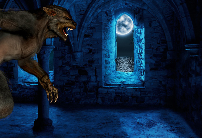 Paranormal Shapeshifters: How Many Kinds Are There? - Vimarsana News
