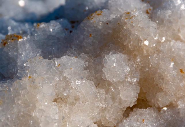 Organisms Trapped in 830-Million-Year-Old Rock Salt May Still Be Alive