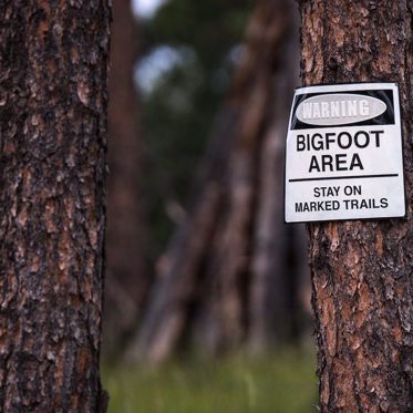 Old Bigfoot Trap, Creepy Driving Clowns, Mislabeled Mummy and More Mysterious News Briefly