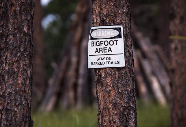 Old Bigfoot Trap, Creepy Driving Clowns, Mislabeled Mummy and More Mysterious News Briefly