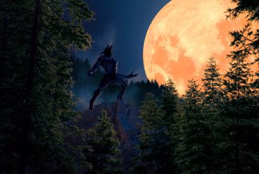 Werewolves And Dog-Men: Are They The Very Same "Things"?