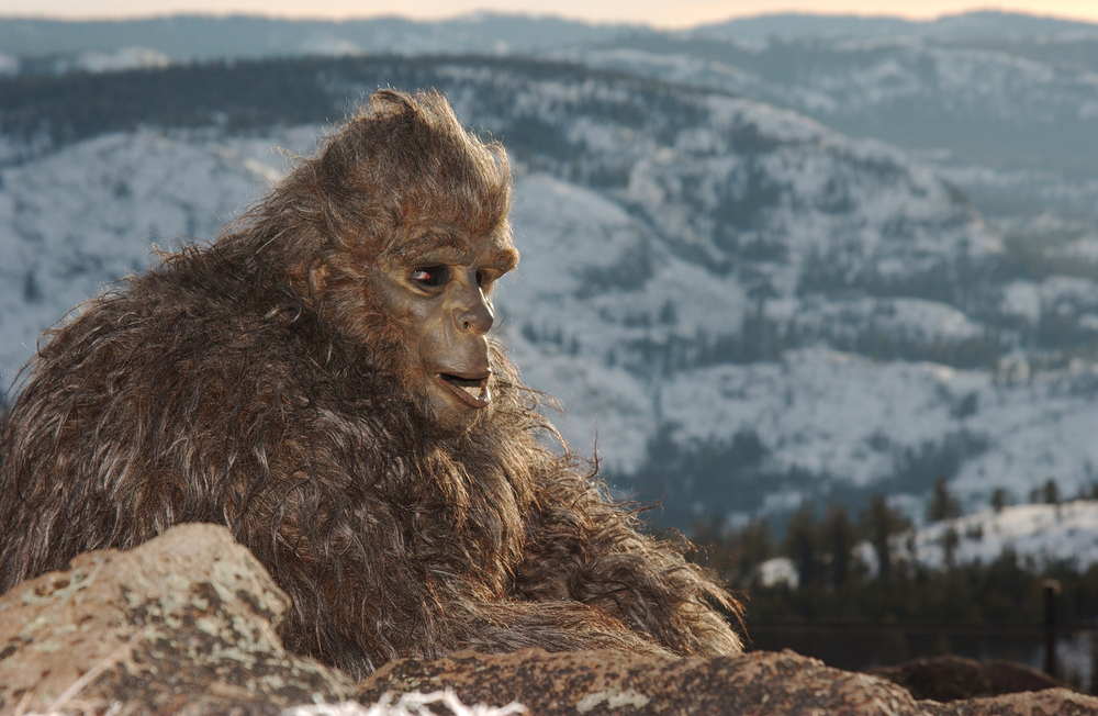 Photographers Capture Smiling Sasquatch in Georgia and Another ...