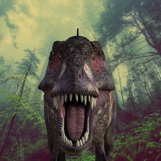 Fossils of Giant Bear Dogs, T. Rex on Steroids, Reaper Dino Found – Still Want a Jurassic Park?