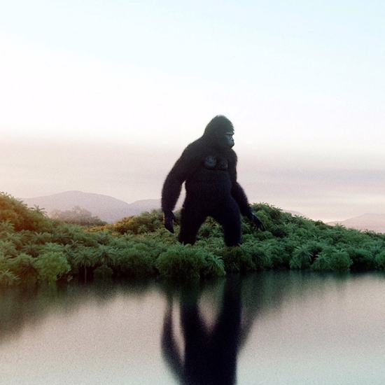 A Large, Mysterious Ape That Isn't Bigfoot or the Yeti