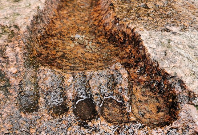 Huge Bigfoot Prints, Haunted Hotel Burns., Extraterrestrial Coins, Largest Bacteria and More Mysterious News Briefly 
