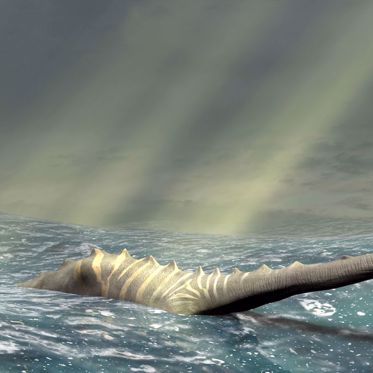 Some Believe Tooth Found in Morocco is Proof Loch Ness Monster is Possible