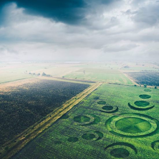 Evolving Crop Circle, Time Traveler Warnings, UFOs Blink Morse Code, Zombie Trees and More Mysterious News Briefly