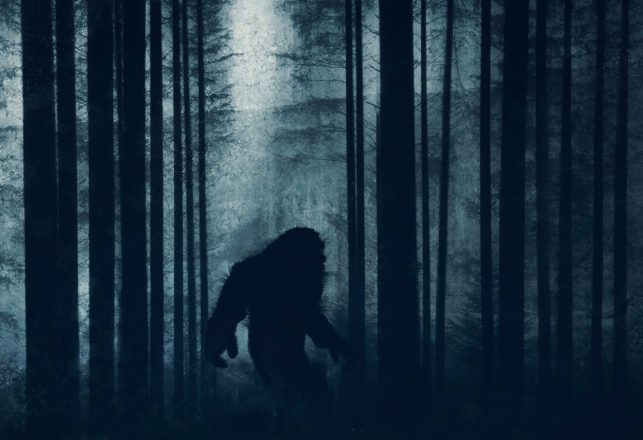 Beyond Bigfoot and the Yeti: How Many Types of Mysterious Apes Are There?