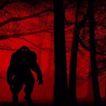 The Weirdness of Cryptozoology: Are "They" All Paranormal Creatures?