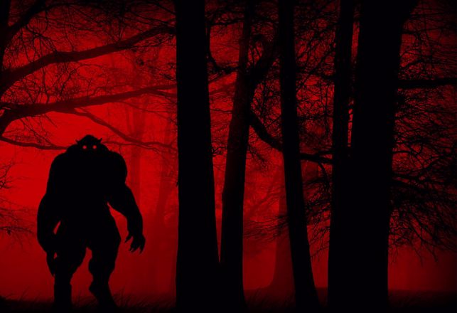 The Weirdness of Cryptozoology: Are "They" All Paranormal Creatures?