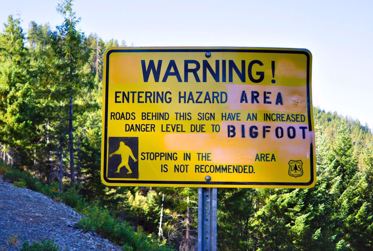 Bigfoot Photos, Roller Coaster of Death, Borg Ants, Time Travelers, Creepy Dolls and More Mysterious News Briefly