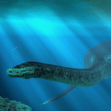 More on the Matter of Nessie and Those Plesiosaurs That Could Never Live in Loch Ness