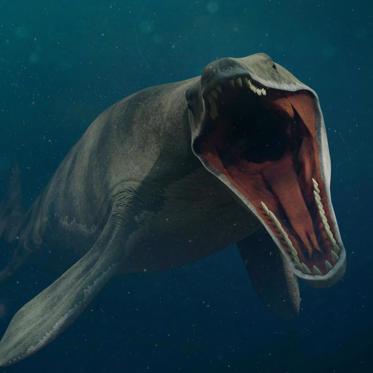 Newly Discovered Prehistoric Giant Marine Reptile of Morocco Ate Sea Monsters 