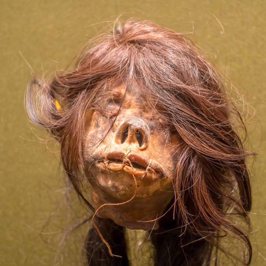 How to Tell if Your Shrunken Head is Real