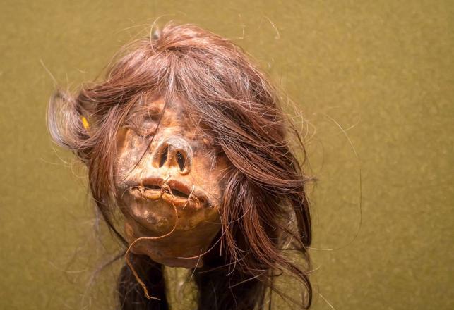 How to Tell if Your Shrunken Head is Real