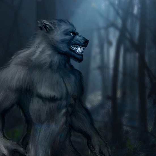 Monsters of the Mountains: Wild-Men and Hairy Creatures