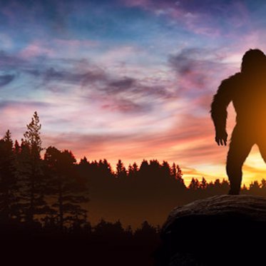 The Bizarre Case of the Kit Swamp Bigfoot