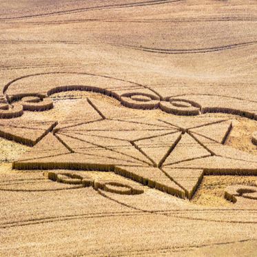 Crop Circle Wars Feared as Farmers Lose More Money