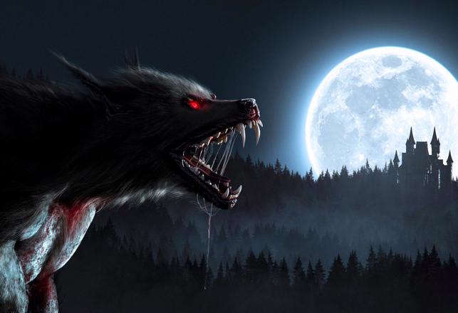 Strange Cases of Werewolves and Dogmen in Brazil