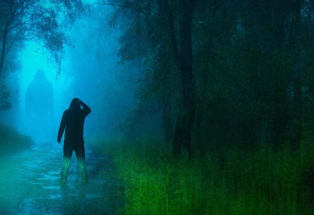 Multiple Reliable Witnesses See Bigfoot in South Carolina State Park 