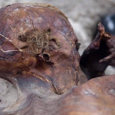 New Data Shows Some South American Mummies Were Brutally Murdered