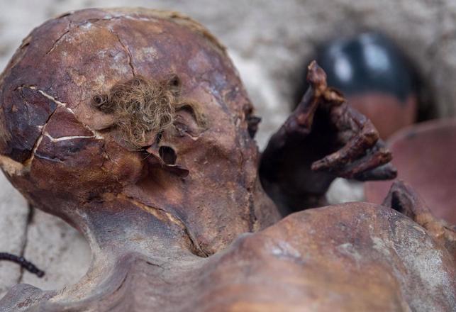 New Data Shows Some South American Mummies Were Brutally Murdered