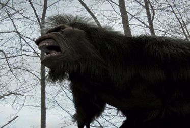Harrowing Accounts of Dangerous Bigfoot Attacking People