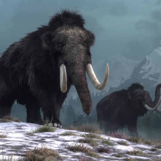 The CIA is Funding De-Extinction of Woolly Mammoths, Thylacines and Dodo Birds