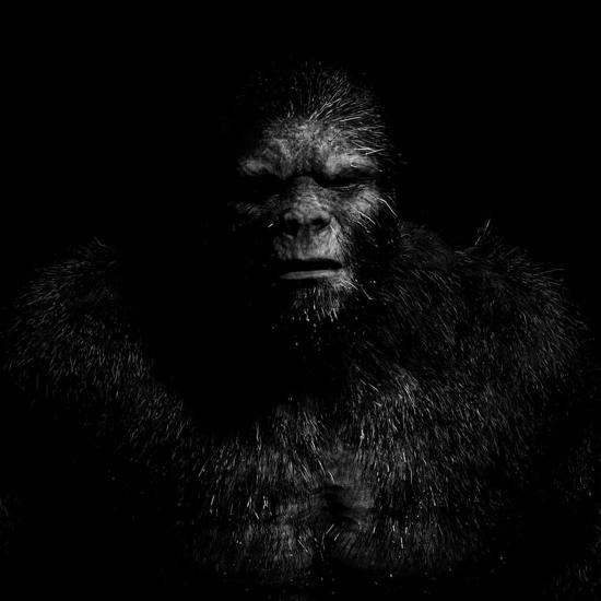 Why is the Bigfoot Such an Elusive Creature? Probably Because it Comes From Elsewhere… 