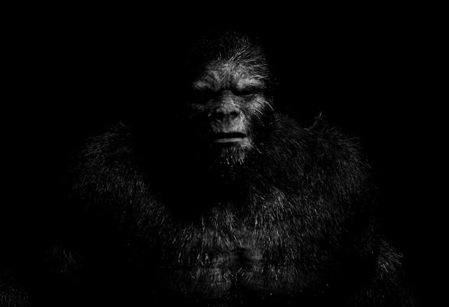 Why is the Bigfoot Such an Elusive Creature? Probably Because it Comes From Elsewhere… 