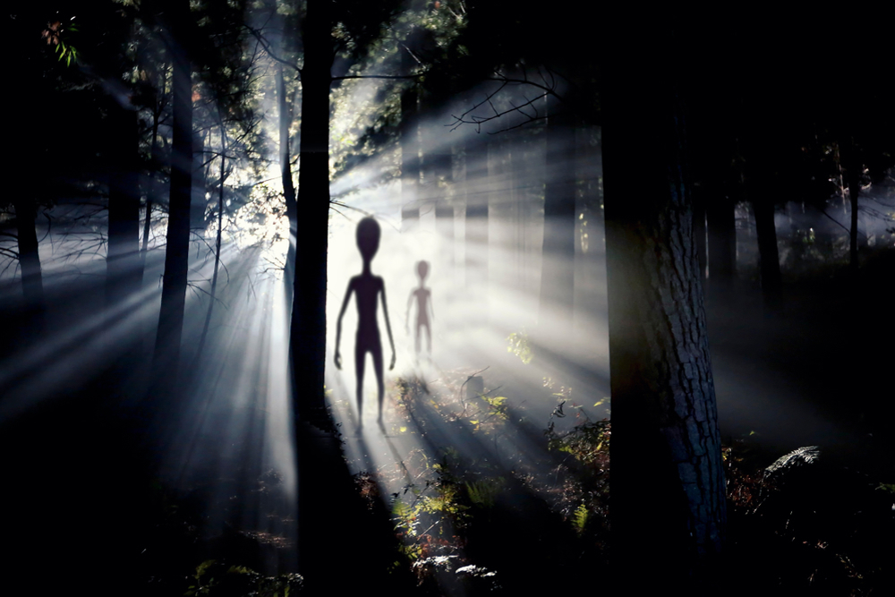 Исследователь из бразильского Розуэлла говорит, что инопланетяне могли быть формами жизни на основе аммиака