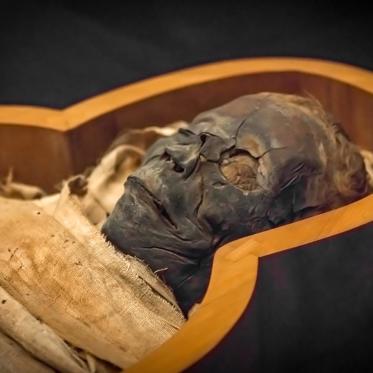 Tomb of Unknown Queen and Hundreds of Mummies Found Near King Tut's Tomb