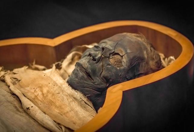 Tomb of Unknown Queen and Hundreds of Mummies Found Near King Tut's Tomb