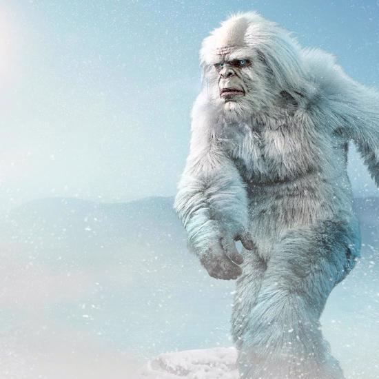 New Yeti Research in Nepal Leads to Surprising Discovery